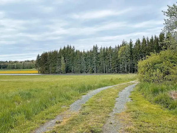 Bild 39 von 44