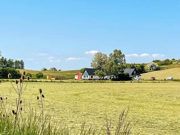 Bild 3 von 25