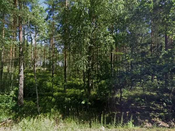 Bild 27 von 31