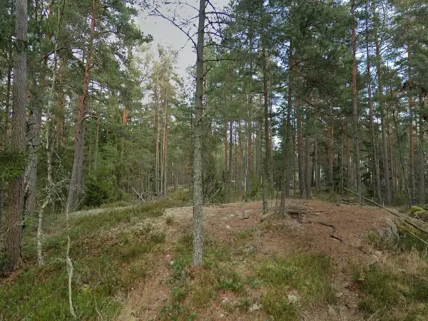 Bild 31 von 31
