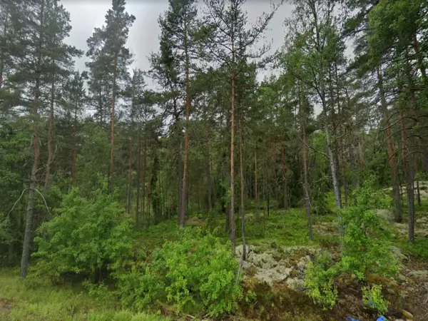 Bild 33 von 43