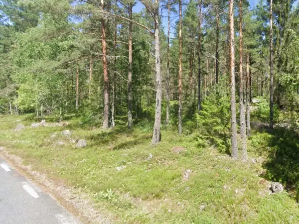 Bild 34 von 43