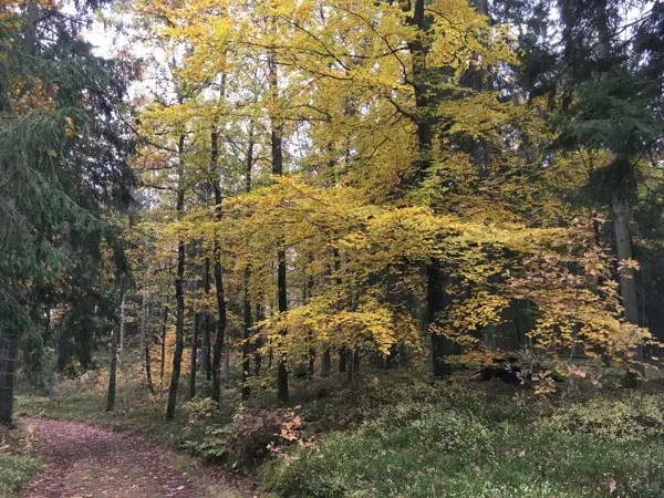 Bild 33 von 35