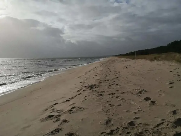 Bild 28 von 50
