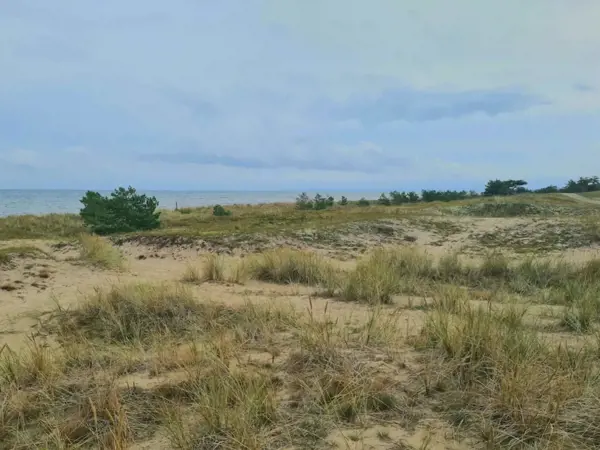 Bild 49 von 50