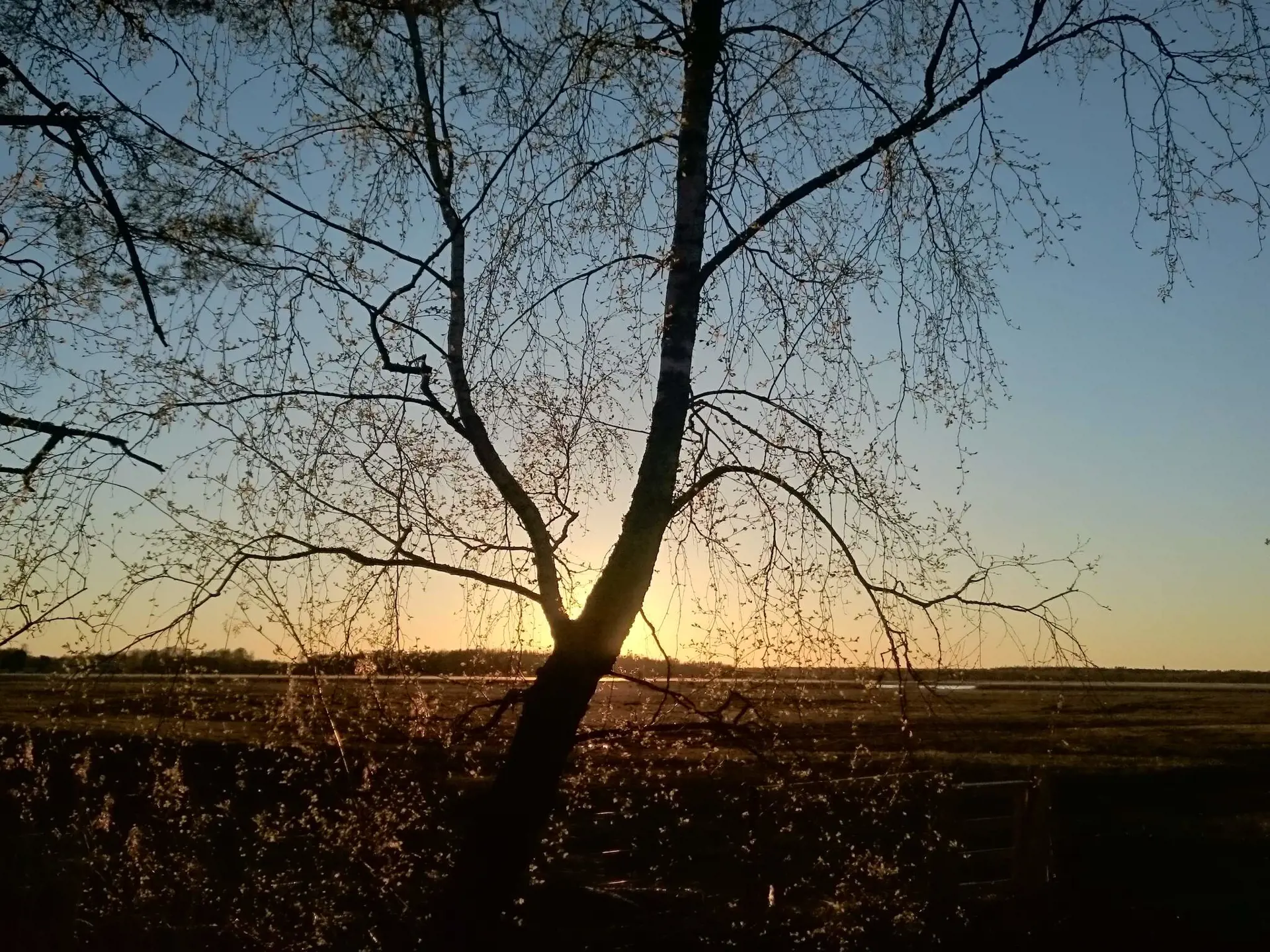 Bild 24 von 30