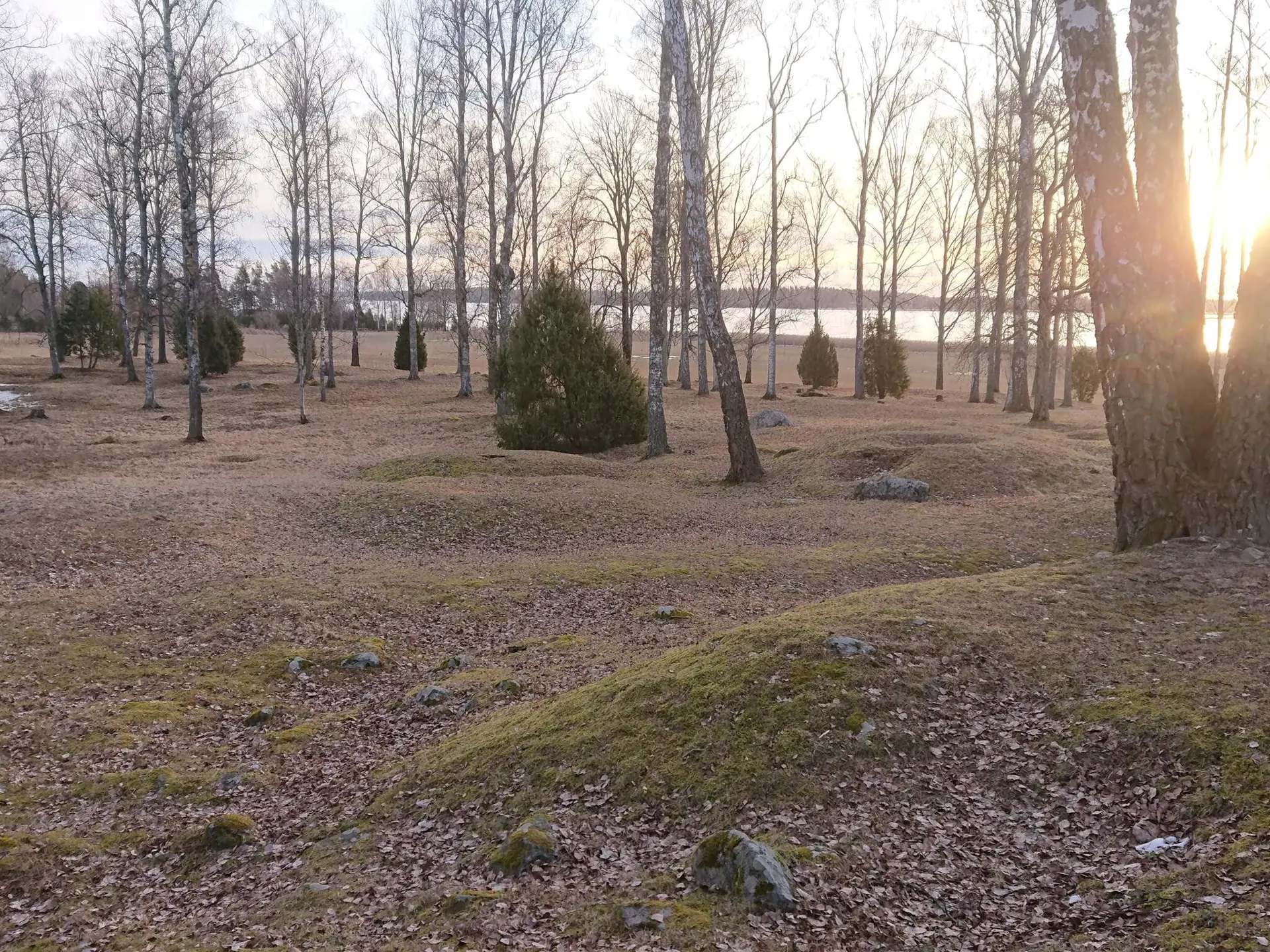Bild 29 von 30