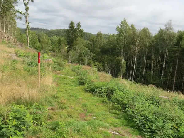 Bild 35 von 38