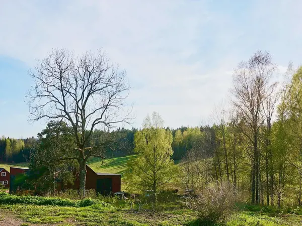 Bild 3 von 15