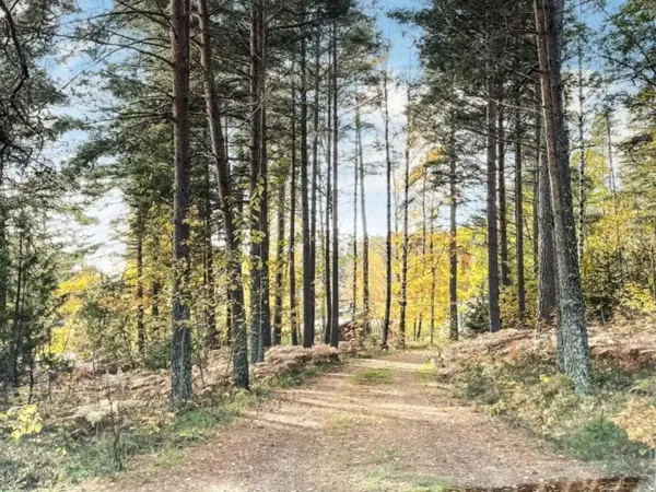 Bild 36 von 40