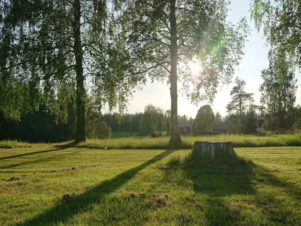 Bild 40 von 40