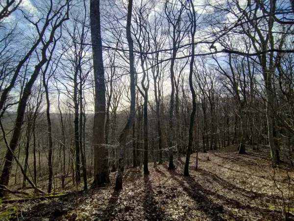 Bild 38 von 41