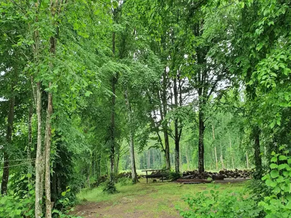 Bild 39 von 41
