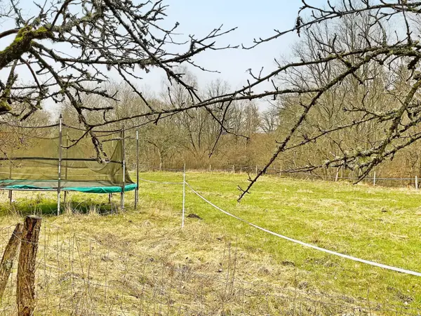 Bild 4 von 23