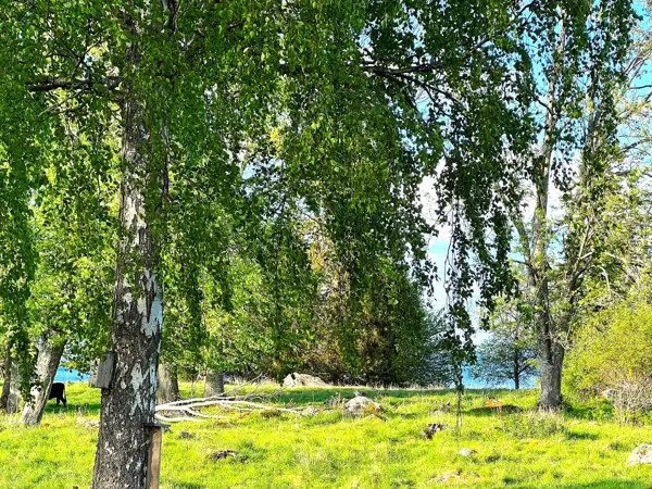 Bild 6 von 31