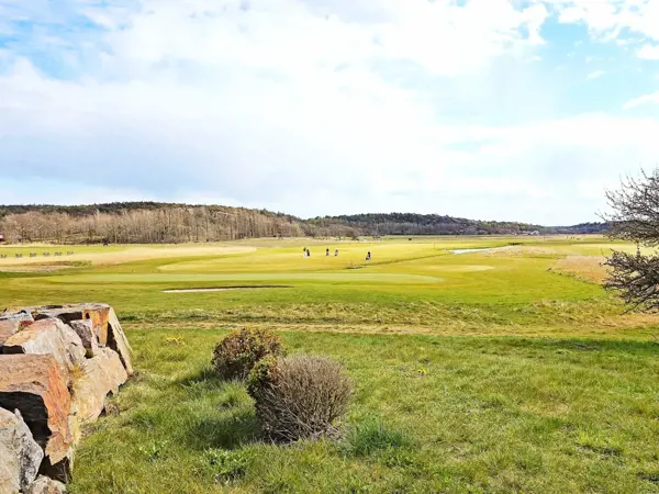 Bild 19 von 20
