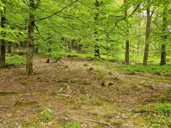 Bild 30 von 36