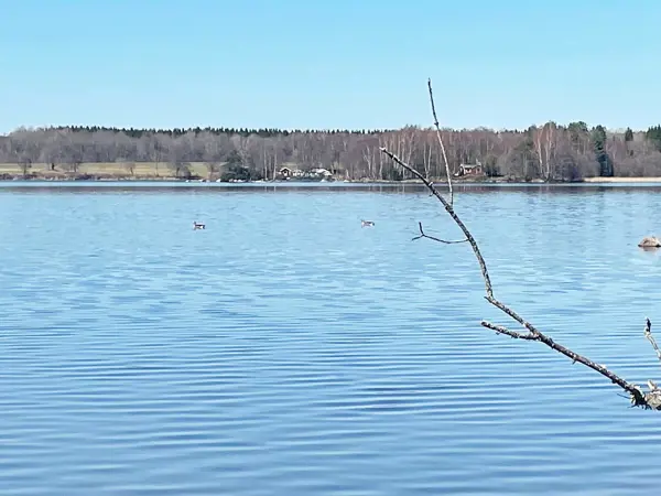 Bild 34 von 34