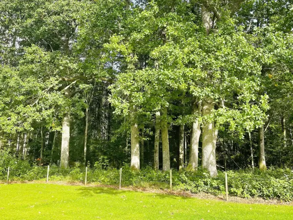 Bild 34 von 35