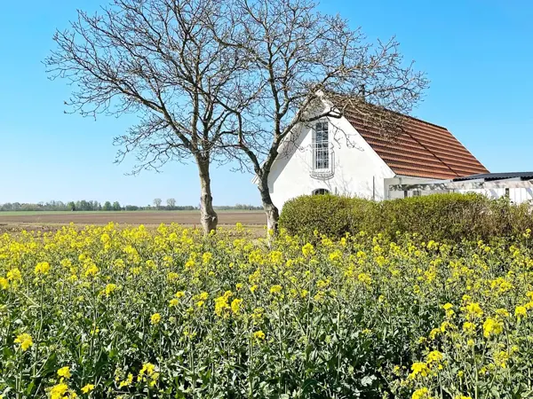 Ferienhaus 53917 in Skurup / Skåne