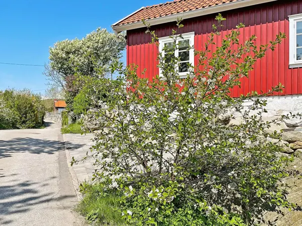 Bild 7 von 32
