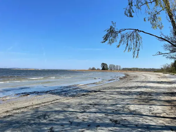 Bild 15 von 19