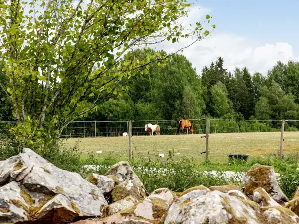 Bild 7 von 39