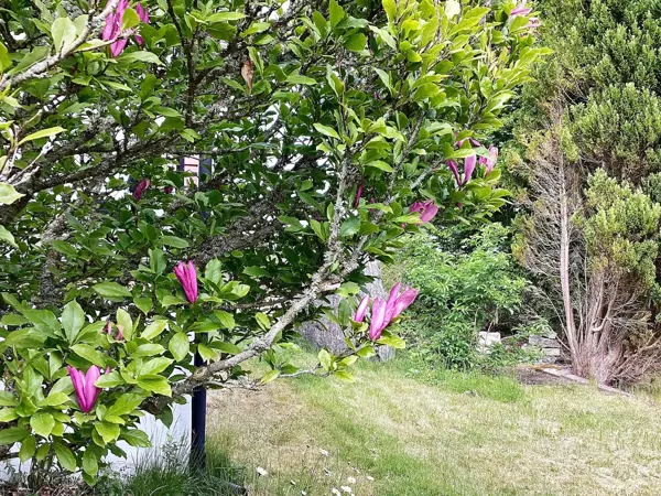 Bild 33 von 33