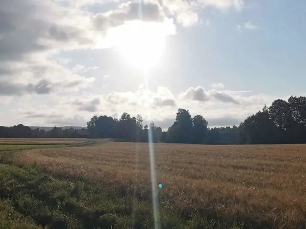 Bild 33 von 38