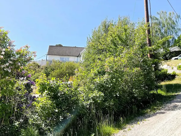 Bild 30 von 40