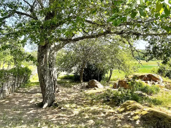 Bild 35 von 35