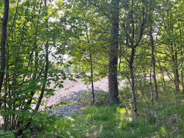 Bild 34 von 35