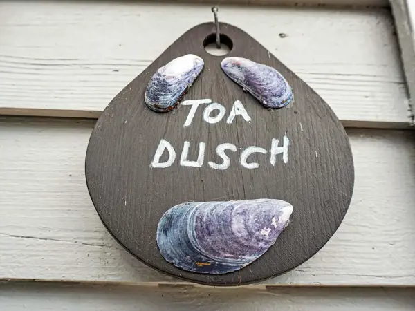 Bild 5 von 39