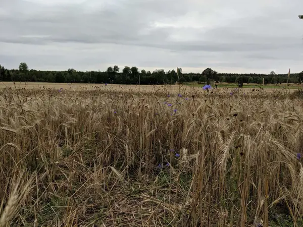 Bild 32 von 32