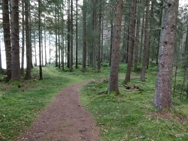 Bild 31 von 35