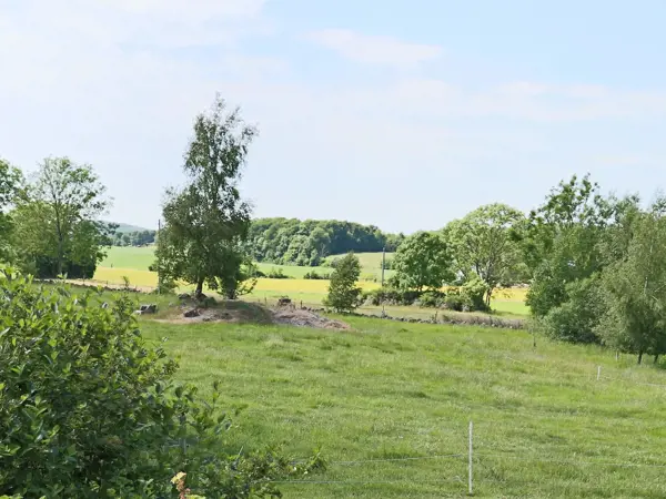 Bild 21 von 25