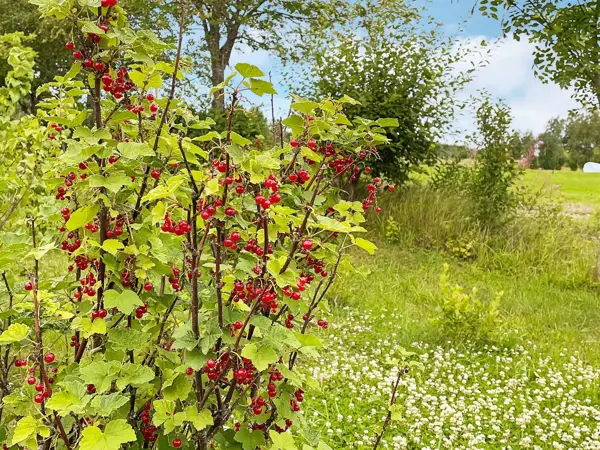 Bild 18 von 23