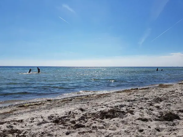Bild 19 von 36