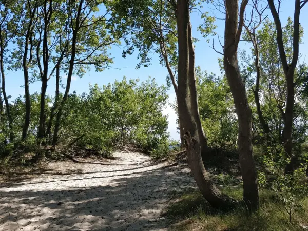 Bild 31 von 36