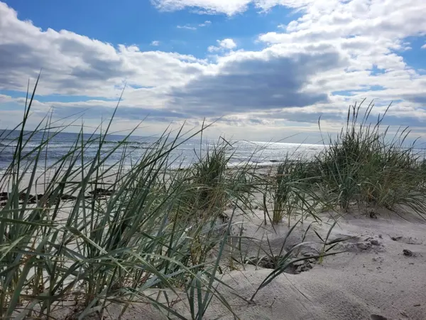 Bild 32 von 36