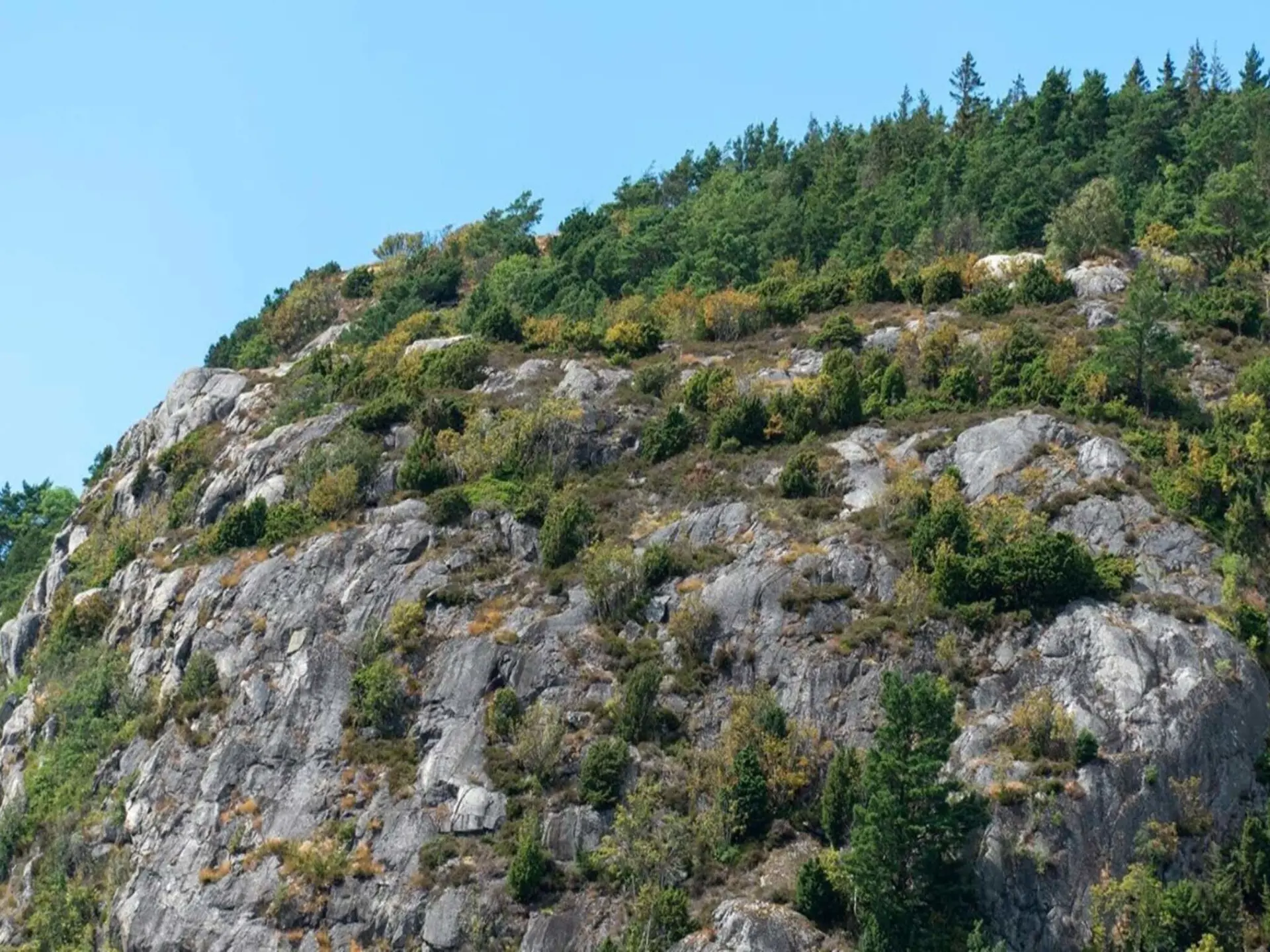 Bild 28 von 31