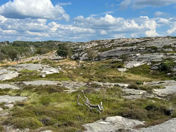 Bild 35 von 35