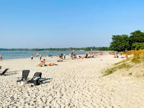 Bild 8 von 16