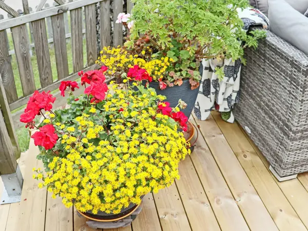 Bild 9 von 28
