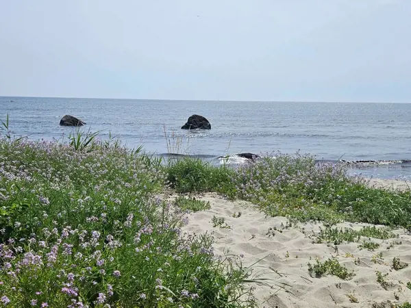 Bild 20 von 29