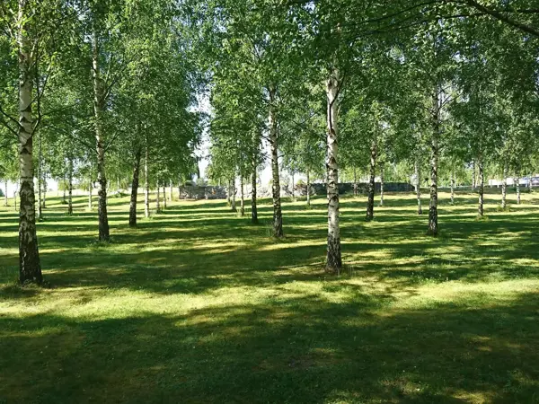 Bild 30 von 35
