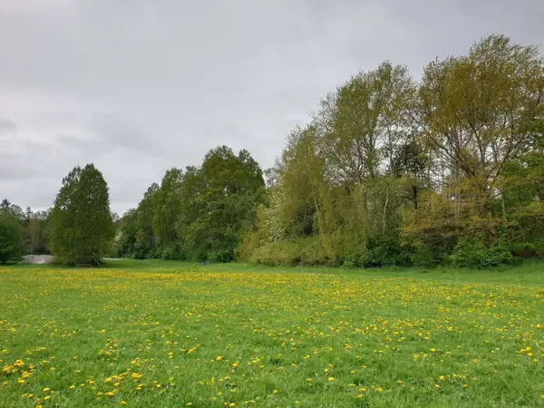 Bild 32 von 35