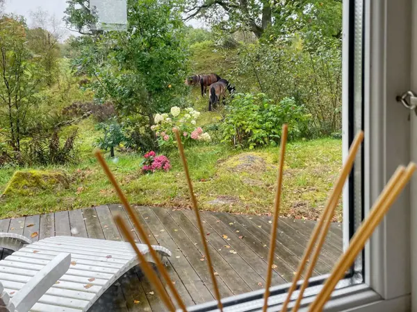 Bild 20 von 34