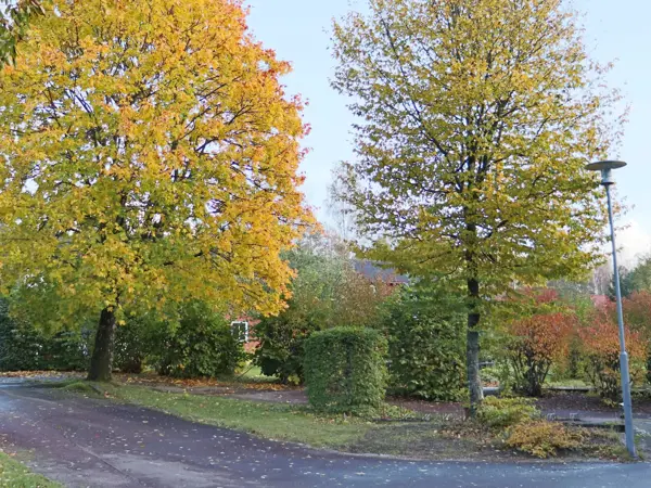 Bild 6 von 25