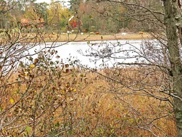Bild 4 von 29
